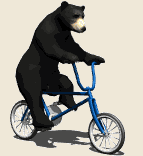 [bear_bike.gif]