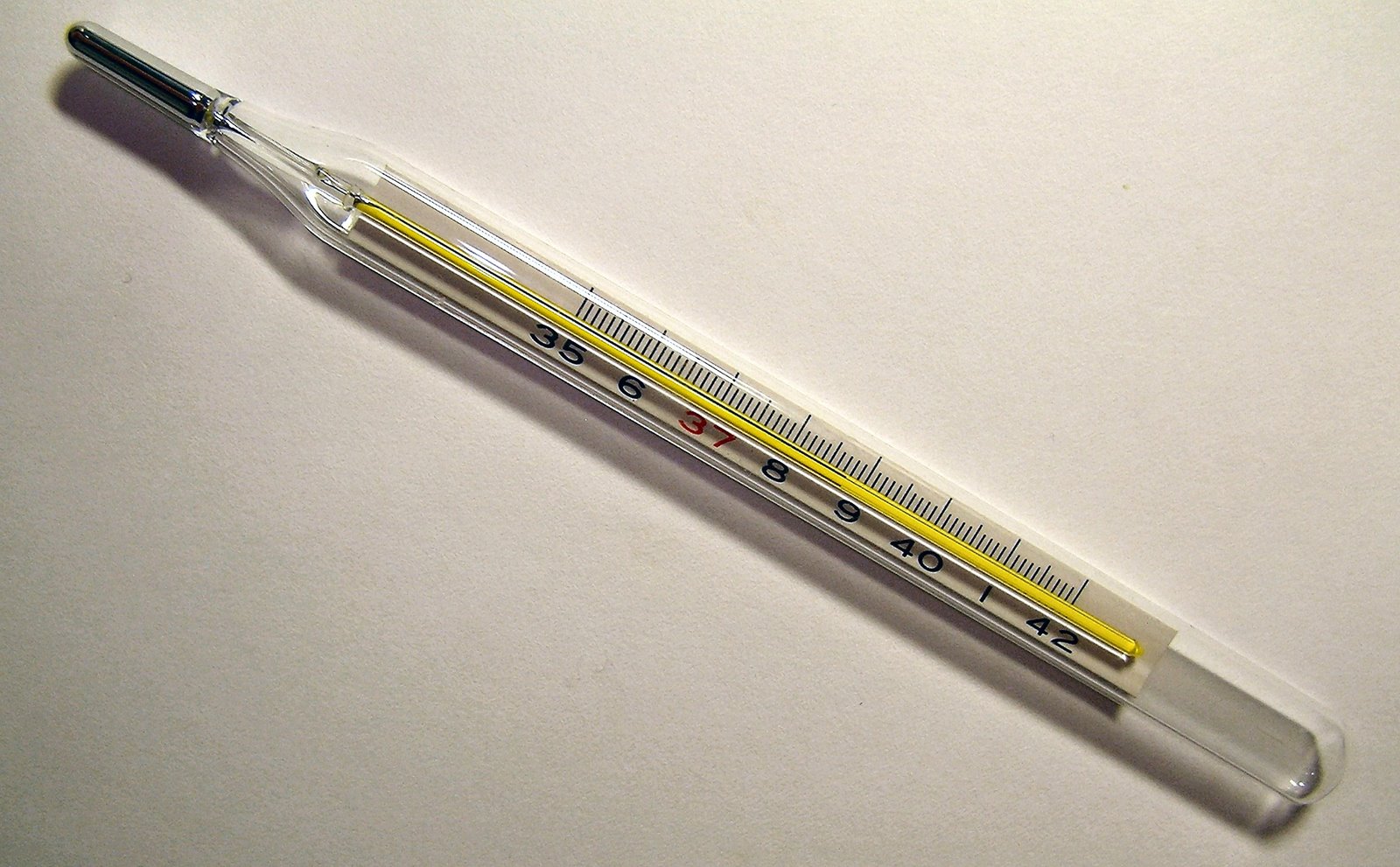 [Clinical_thermometer_38.7.JPG]