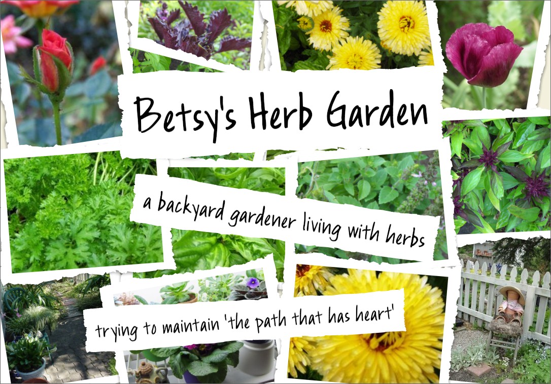 Betsy's Herb Garden