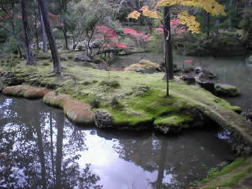 [Japanese+Matsuo+Taisha+Shrine+Moss+Temple+garden.jpg]