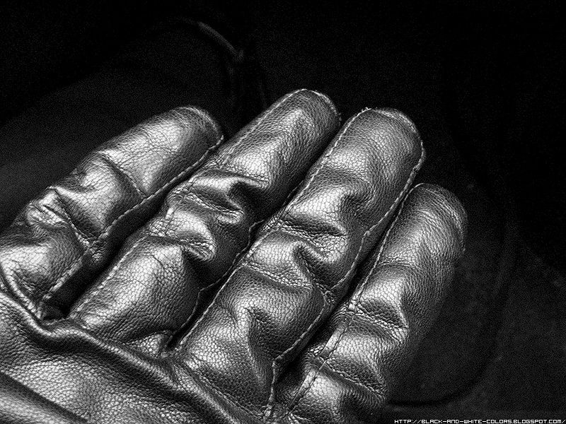 [Leather-Glove-1.jpg]