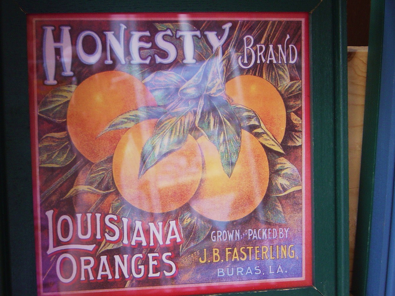 [Honesty+Oranges+NO+021.JPG]