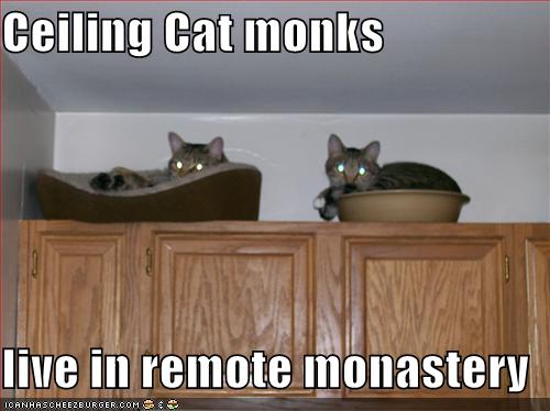 [ceiling-cat-monks.jpg]
