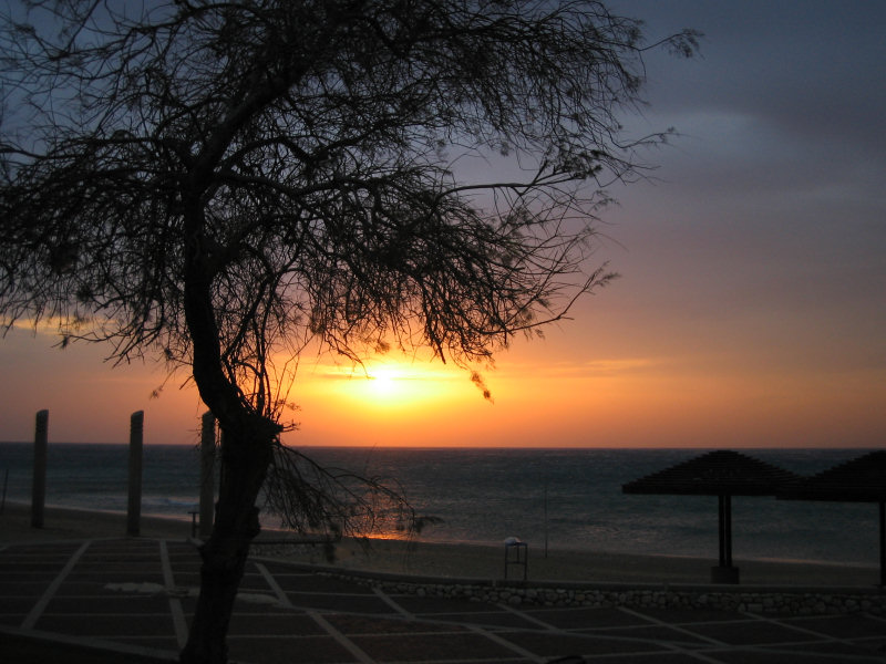 [haifa+sunset.jpg]