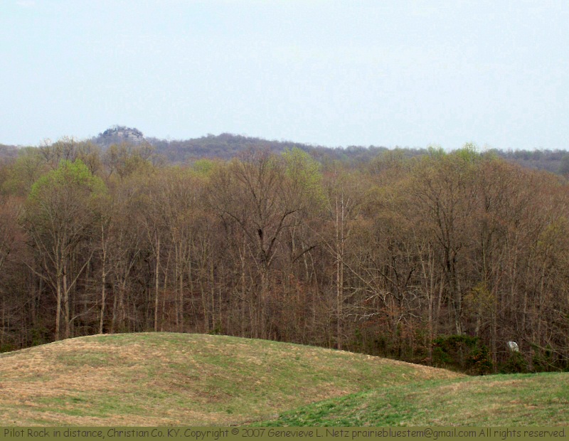 Pilot Rock, on the Todd and Christian County line in Kentucky