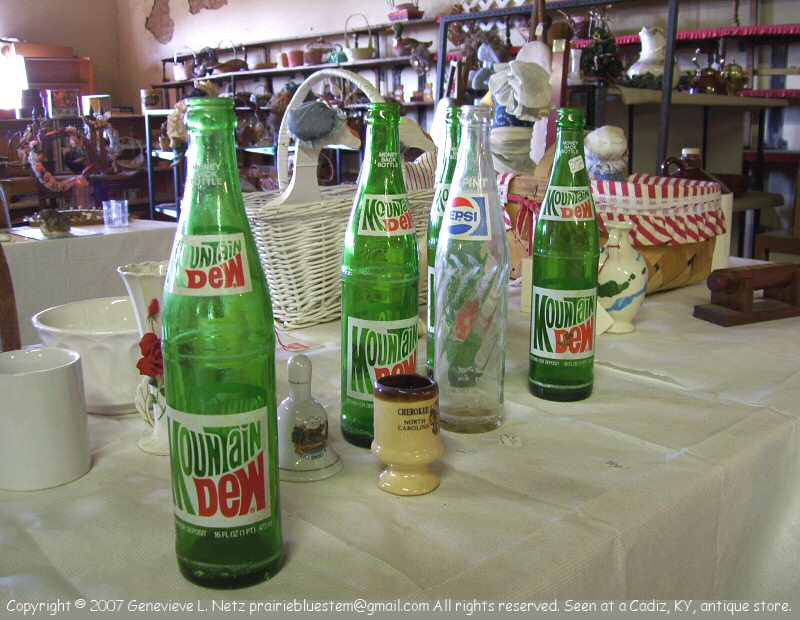 Mountain Dew bottles from the 1970's
