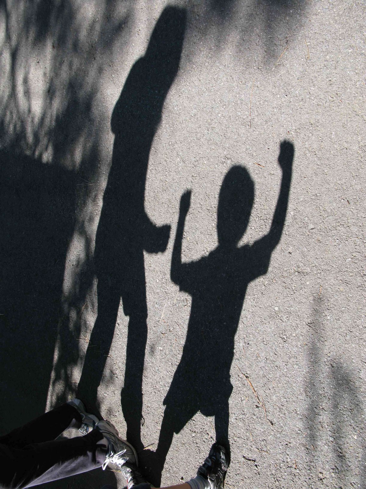 [tahoe+shadows.jpg]
