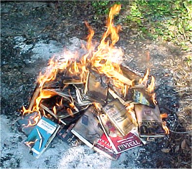 [burningbook.jpg]