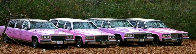 [Pink+Cadillac+Fleet+–+Memphis.jpg]