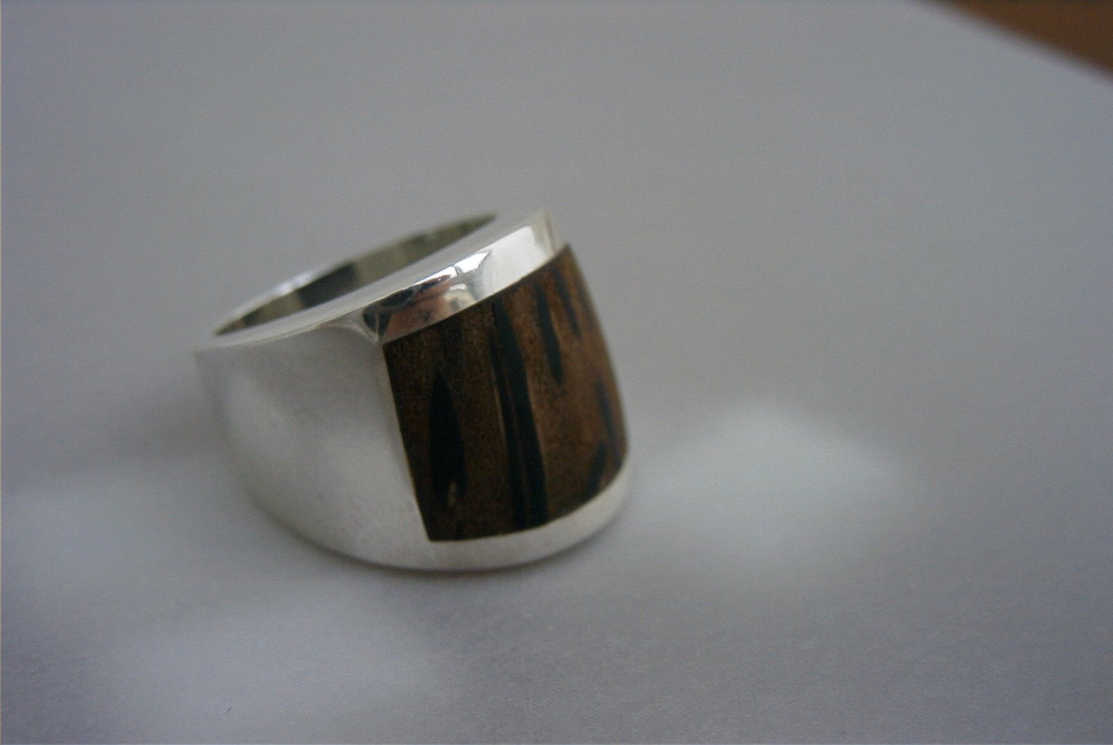 [Wood+Taught+Ring.JPG]