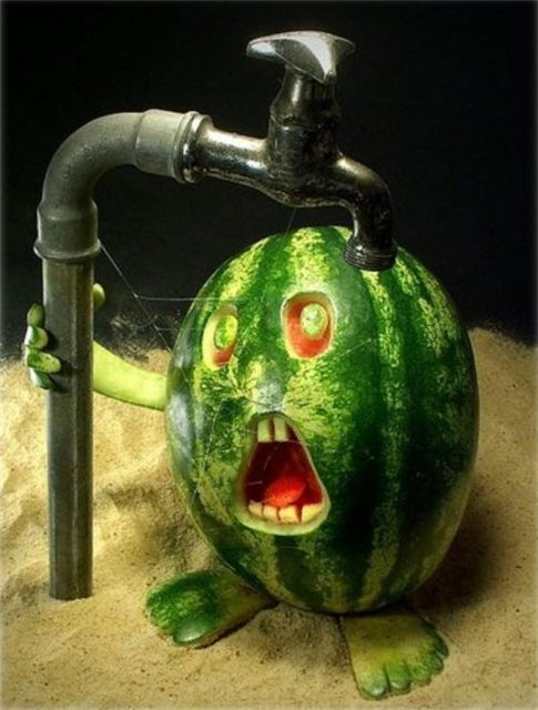 [thirsty+melon.jpg]