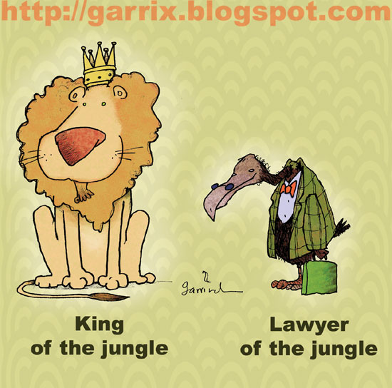[jungle-lawyer.jpg]
