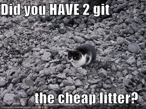 [funny-pictures-you-always-get-the-cheap-litter.jpg]