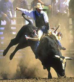 [bull-riding.jpg]