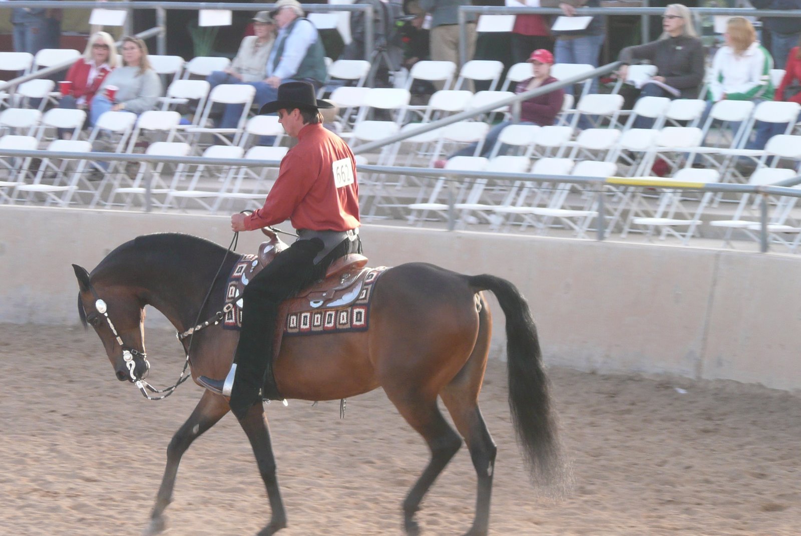 [2008-02-20+Scottsdale+Arabian+Horse+Show+037.jpg]