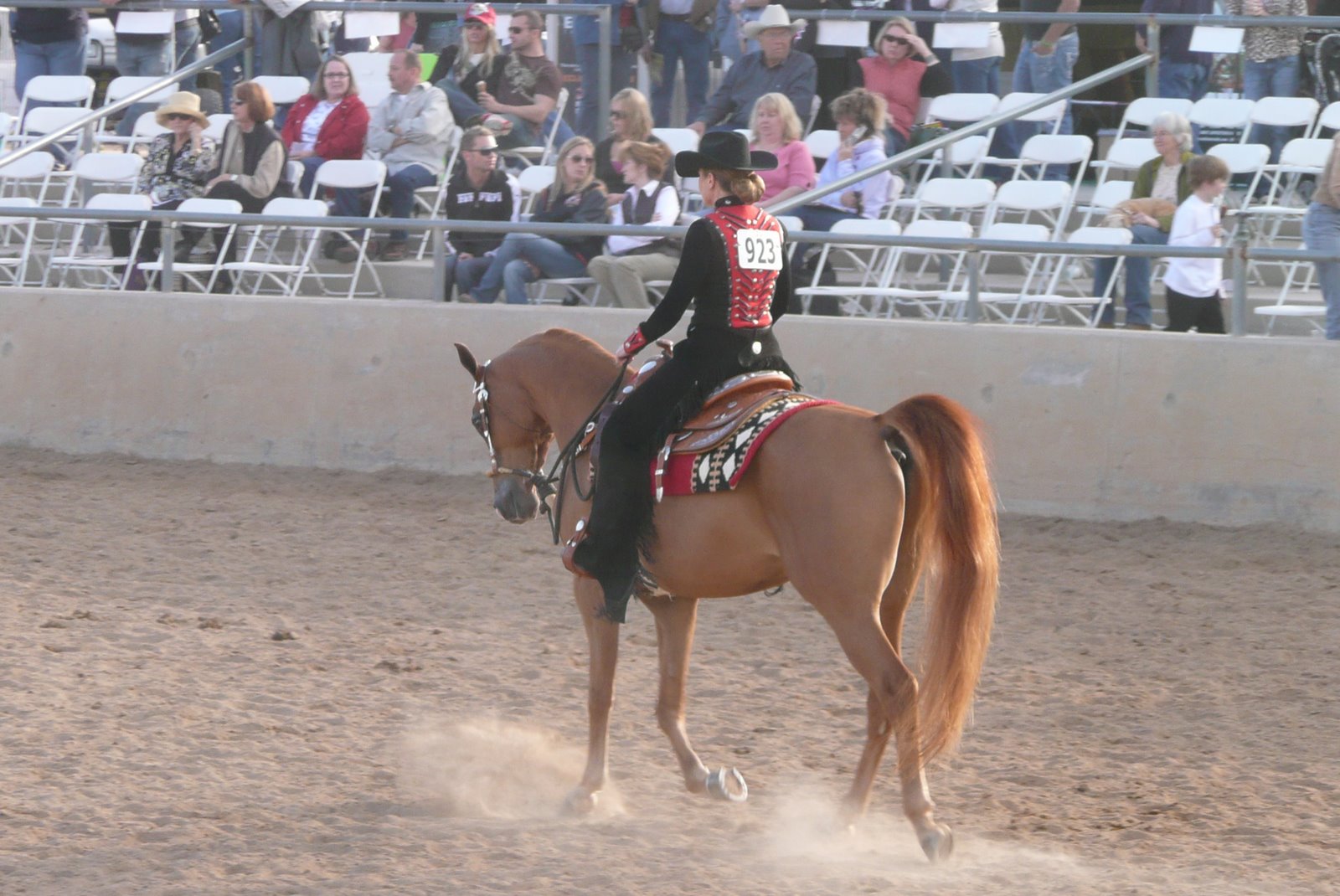 [2008-02-20+Scottsdale+Arabian+Horse+Show+035.jpg]