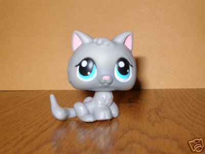 [66+-+Prim+'N+Proper+-+Cats+-+Grey+Kitten+Cat+Blue+Eyes.jpg]