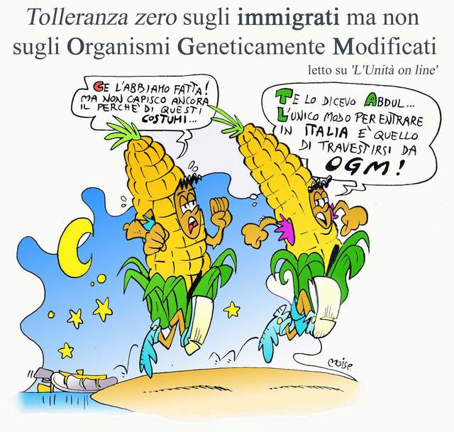 [Immigrati+e+OGM.jpg]