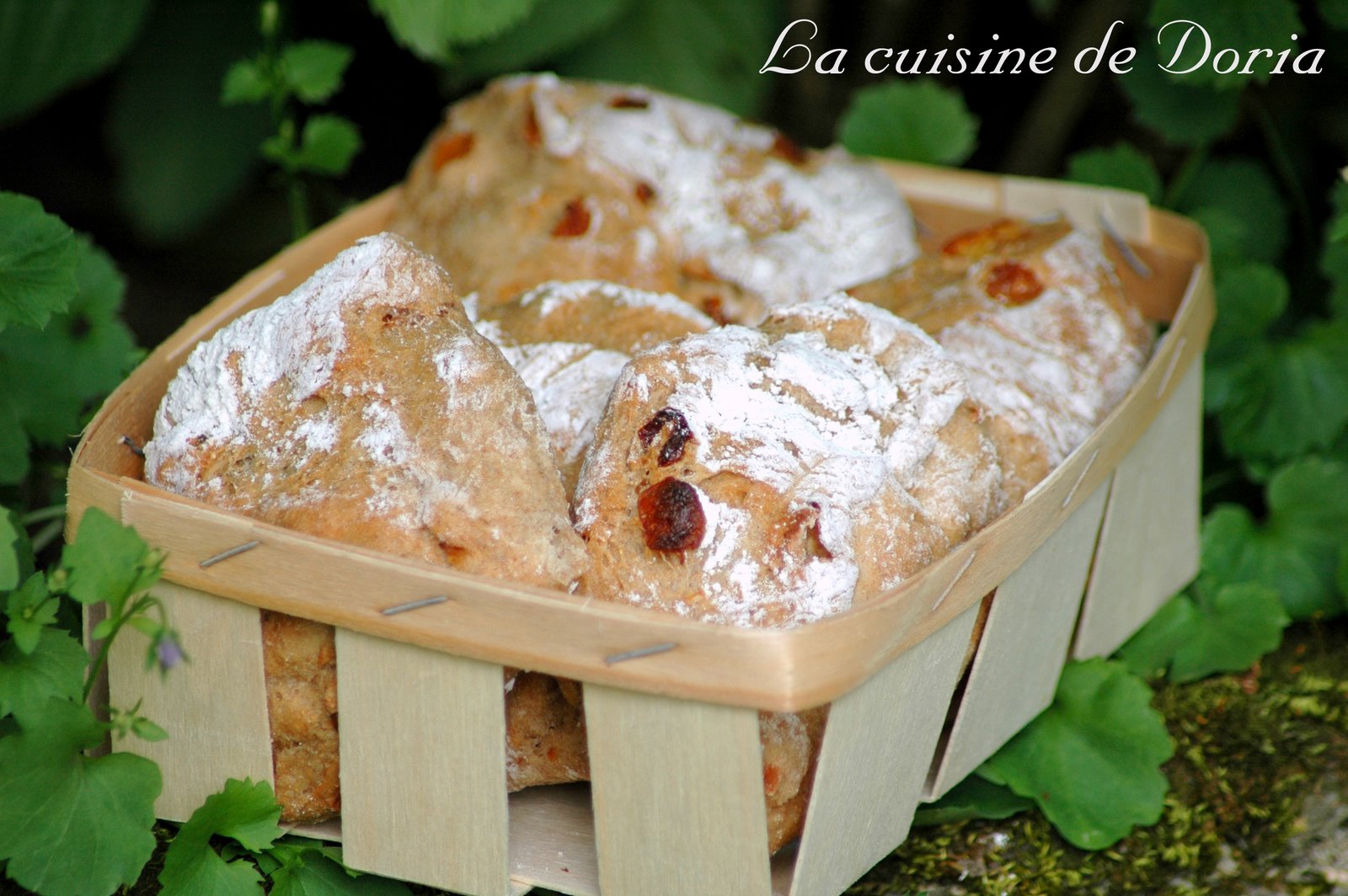 [Petits+pains+au+cumin+et+raisins+blonds+2.jpg]