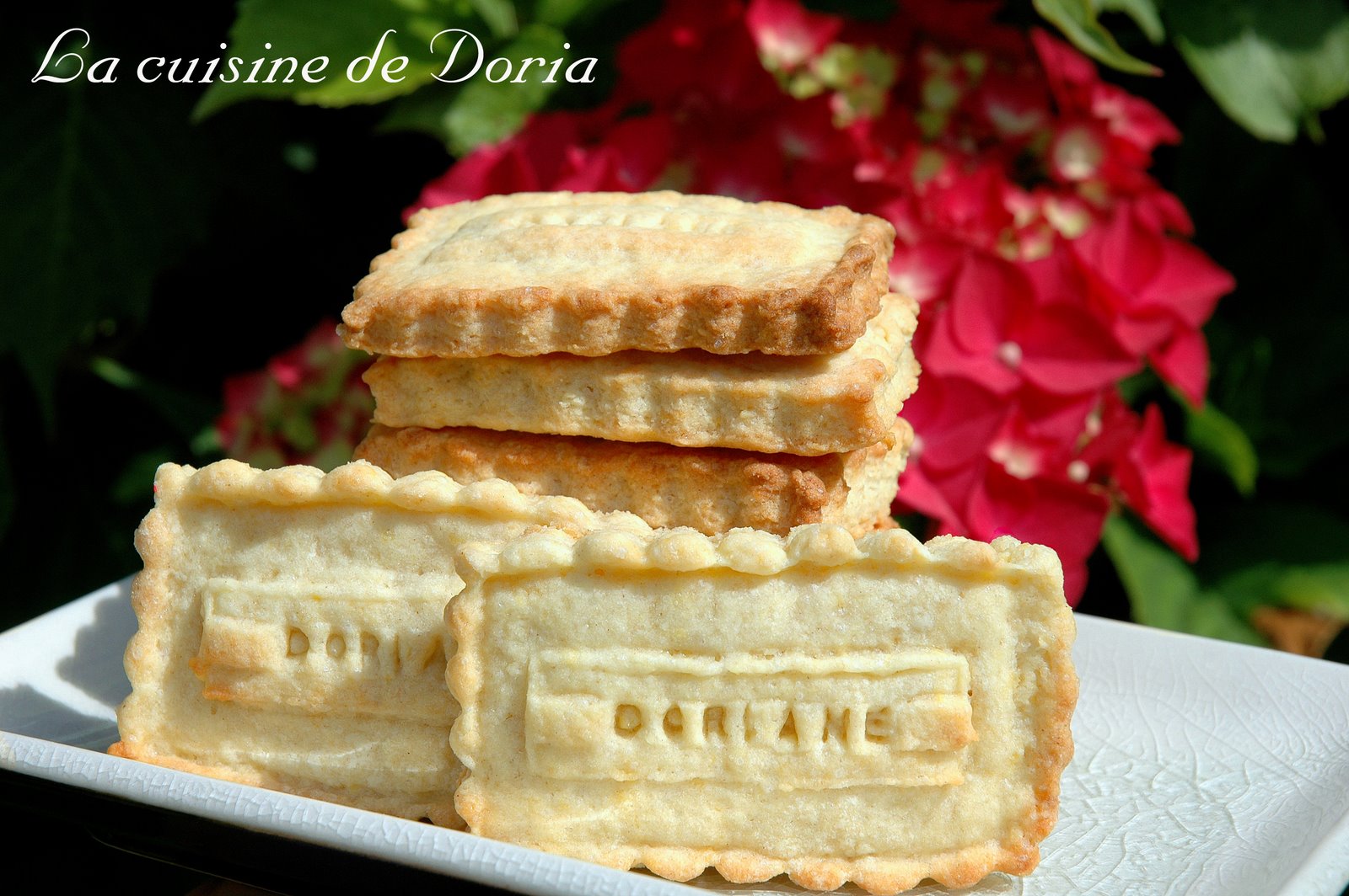[Petits+biscuits+Doriane.jpg]