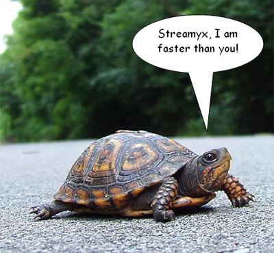 [streamyx-turtle.jpg]