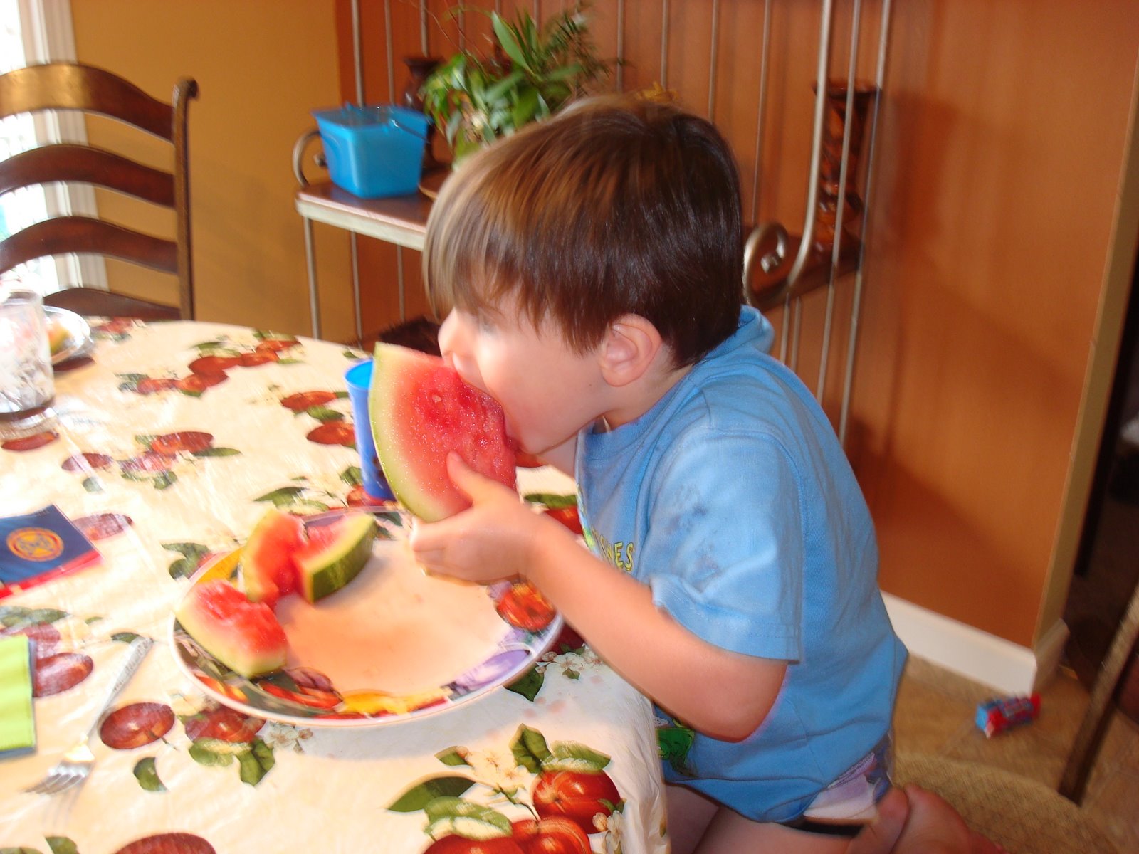[watermelon+005.jpg]