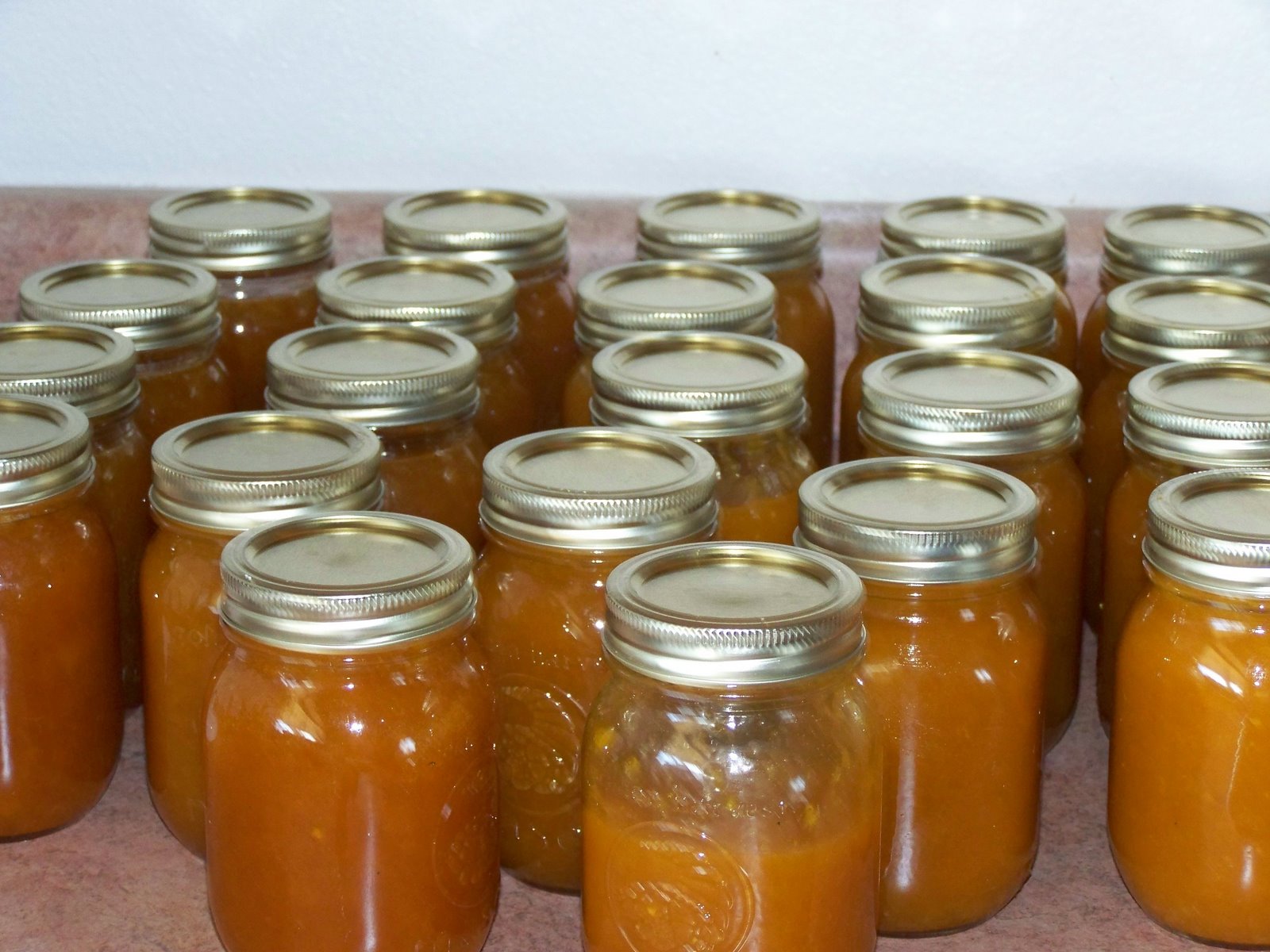 [canning+apricots+005.jpg]
