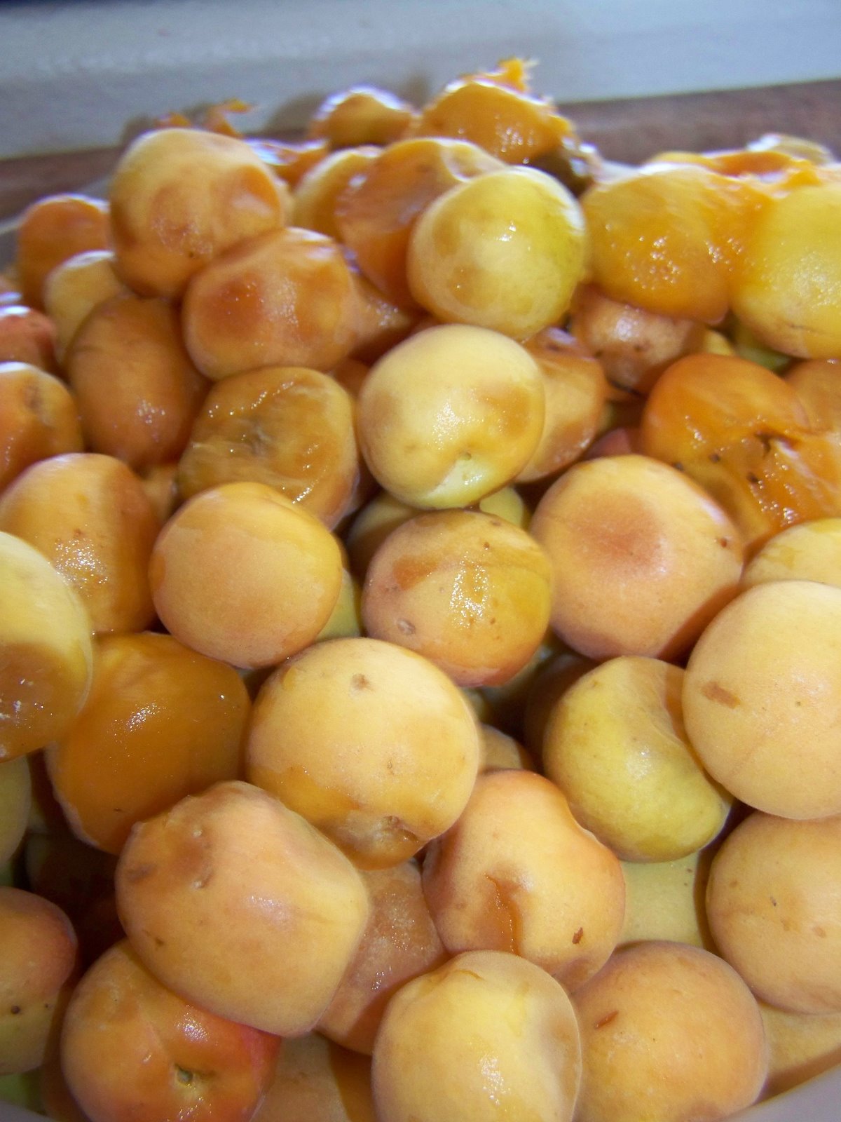 [canning+apricots+003.jpg]