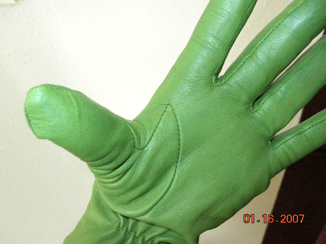 [gloves+001.jpg]