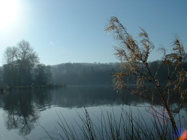 [005+Morning+lake+view.jpg]