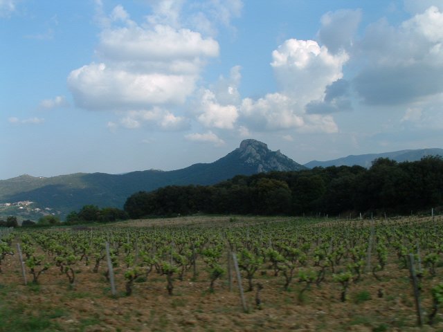 [009+Vineyard+&+mountain.jpg]