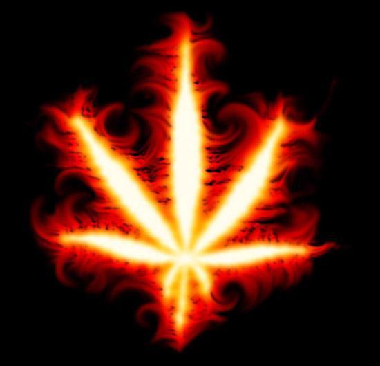 [marihuana+de+fuego.jpg]