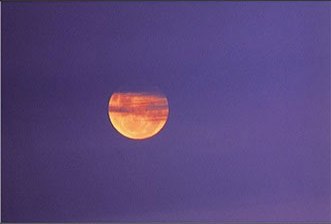 [violet+moon.jpg]