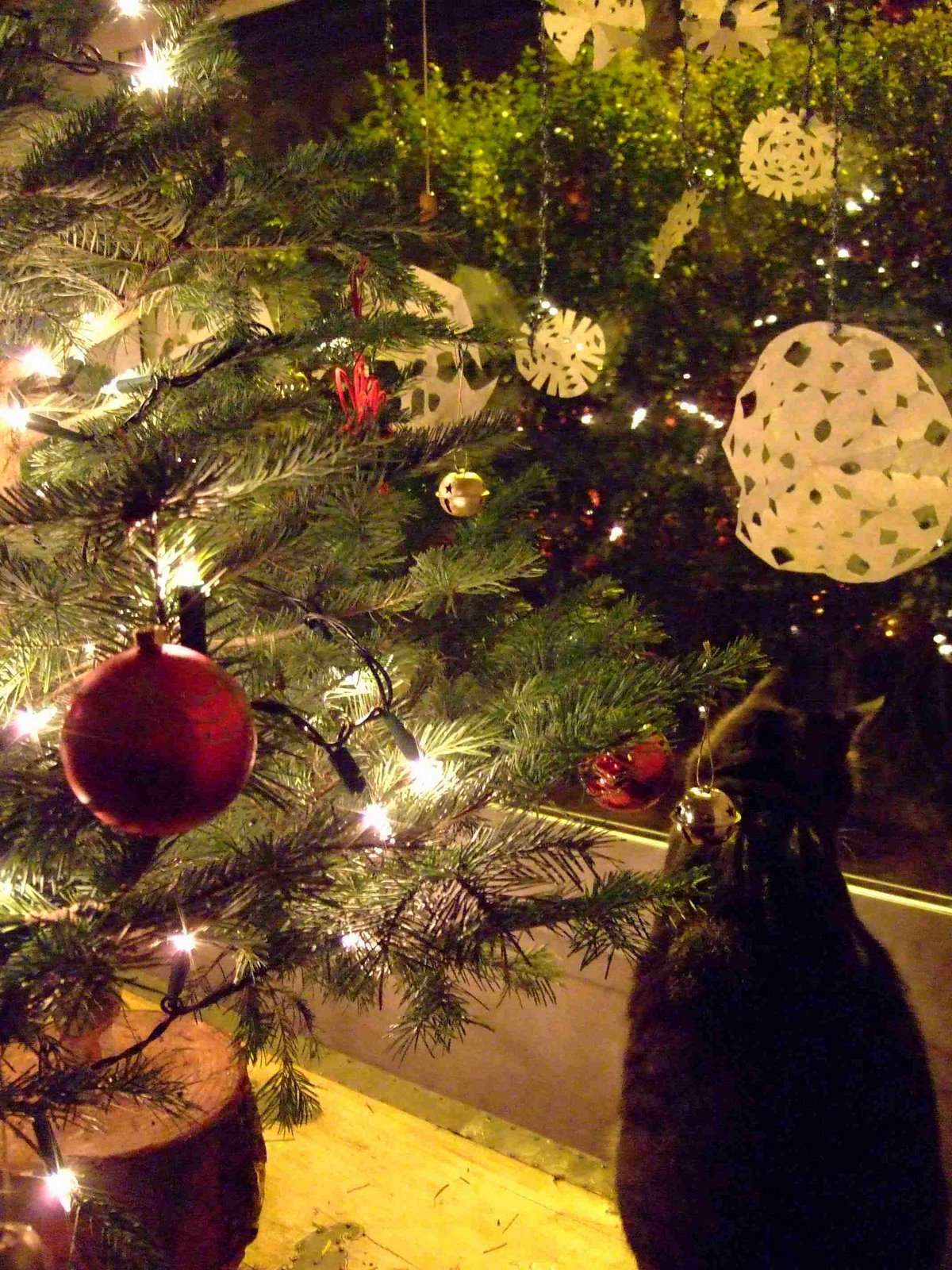 [christmas+tree+001.jpg]