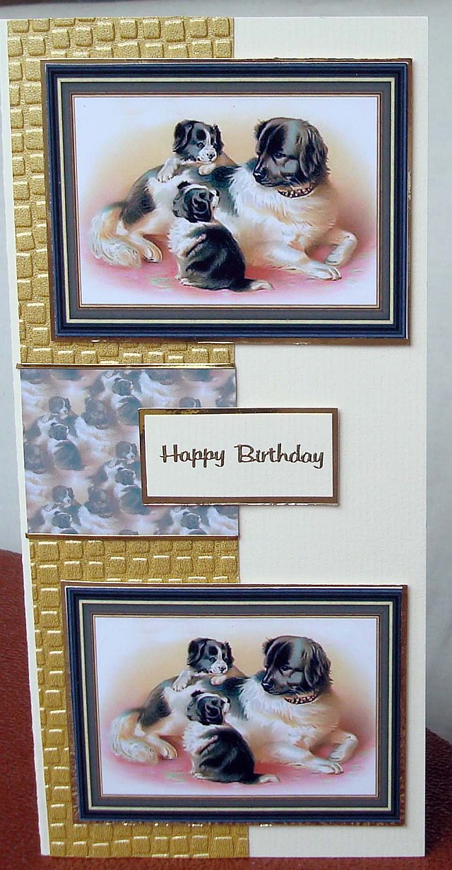 [Birthday+dogs+small.jpg]