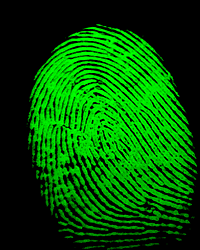 [fingerprint01.gif]