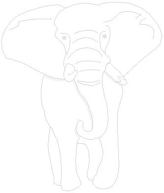 [Elefante.JPG]