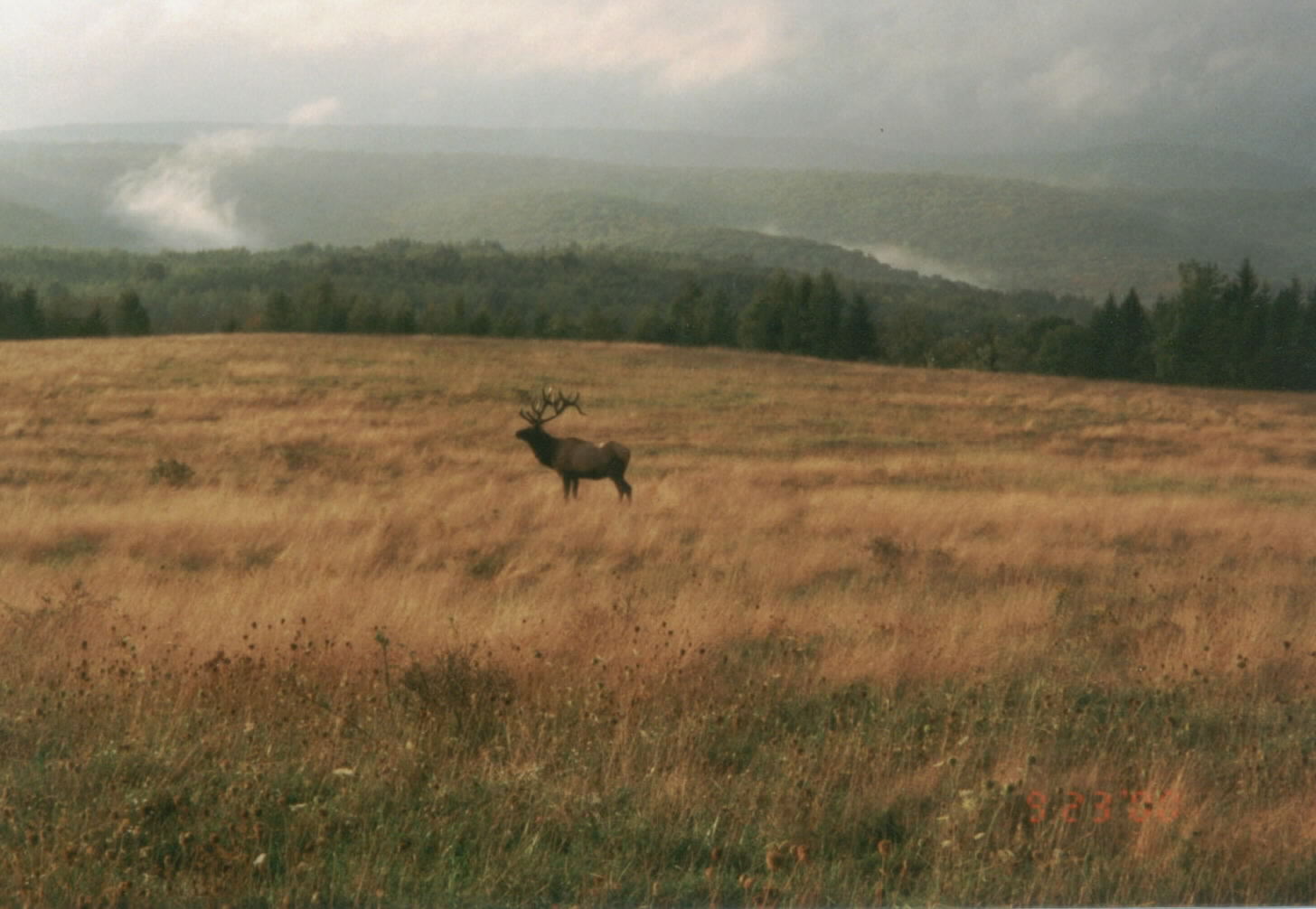 [2000+Elk+County.jpg]