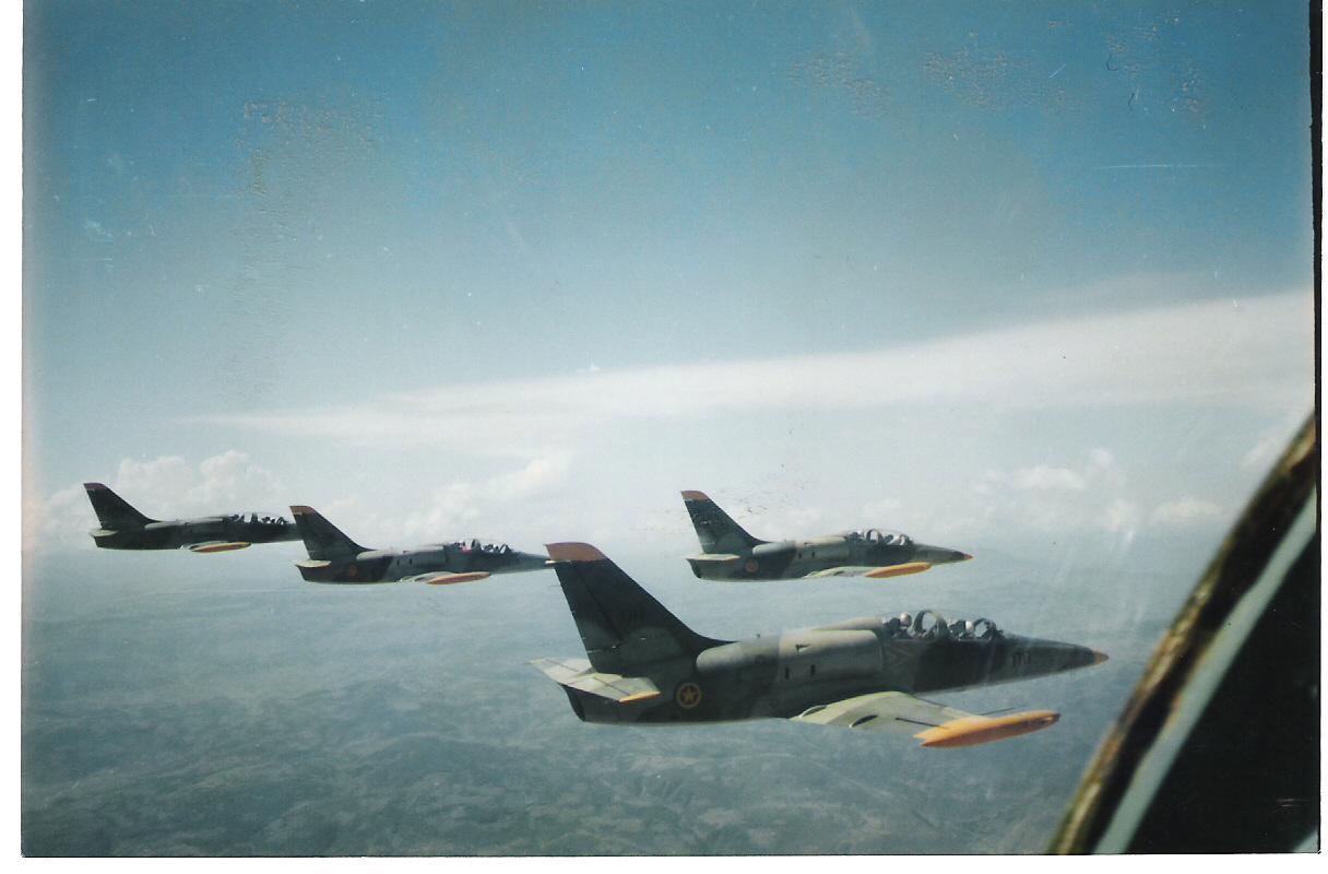 [L-39Squadron1.jpg]