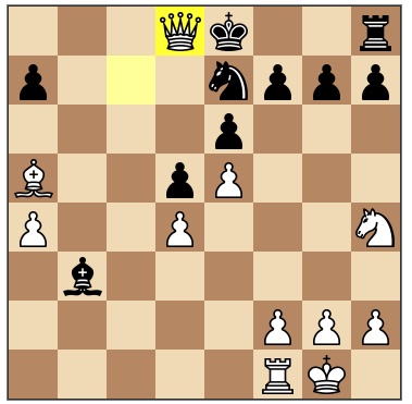 [chesscheckmate.jpg]
