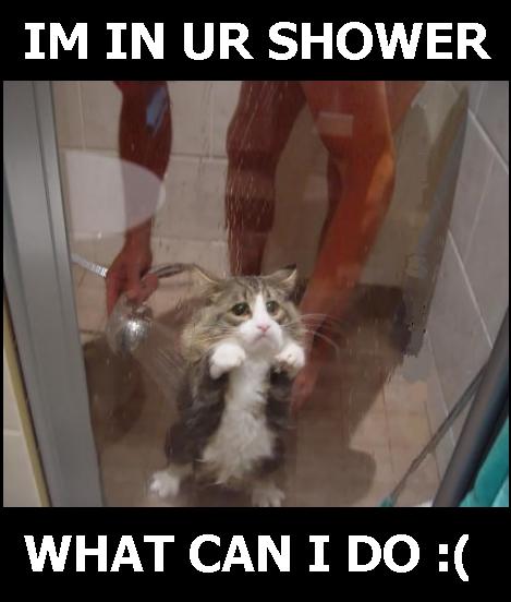 [1161382102-shower.jpg]