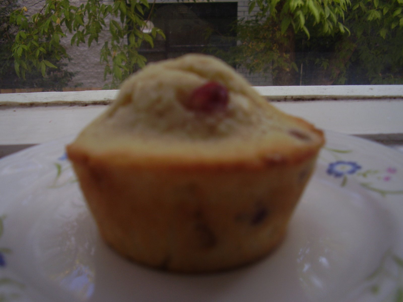 [Pomegranate+&+ginger+muffin+II.JPG]