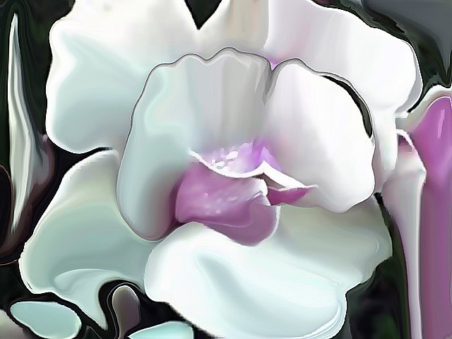 [magnolia-1.jpg]