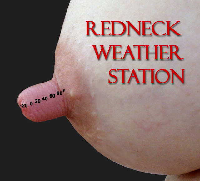 [Redneck+Weather+Station.jpg]