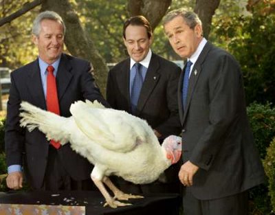 [funny_pictures_Bush_Pardons_Thanksgiving_Turkey.jpg]