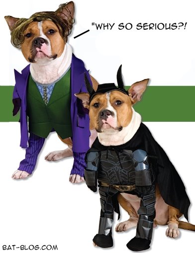 [batman+joker+dog+costumes.jpg]
