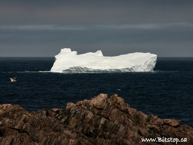 [iceberg-may03.jpg]