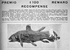 Newspaper reward for a coelacanth