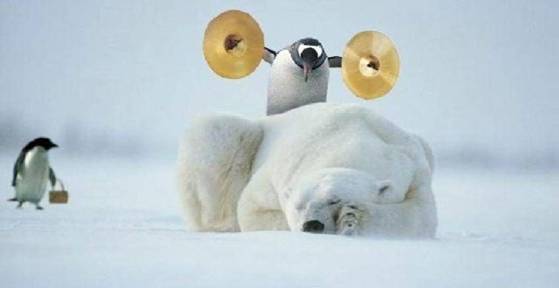 [polarbear_penguin.jpg]