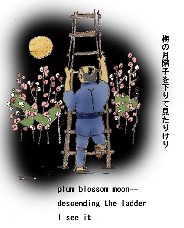 [plum+blossom+moon+opening+S++.jpg]